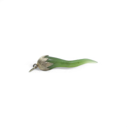 Jade Horn