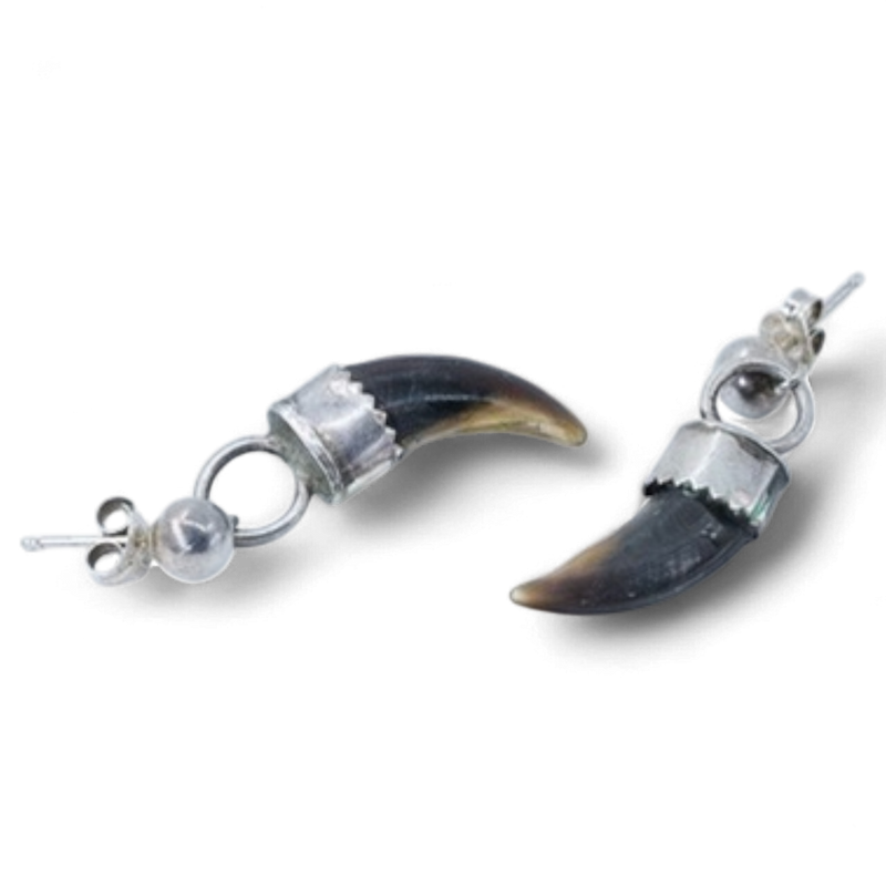 Native American Claw Earrings