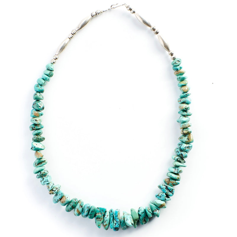 Robin's Egg Turquoise Strand