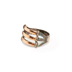 Gold & Silver Ring